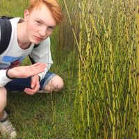 Gijs Tuytel的照片