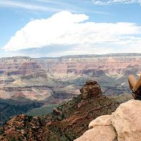 Heather Connor's Photo