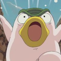 Edoardo Antonelli's Photo