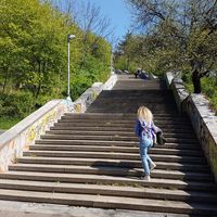 Tanja Fieber's Photo