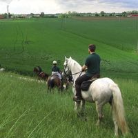 Le foto di Mattia Cordioli