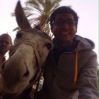 Ahmed Abdelmoniem的照片