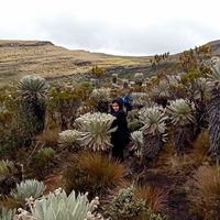 Melissa Henao's Photo