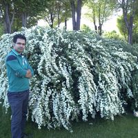hadi shirvani's Photo