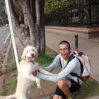 Photos de lucho palo