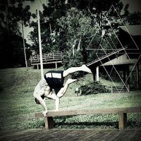 Alessandro Potier的照片