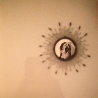 Rieke Koriath的照片