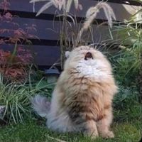 Haider Abbas's Photo