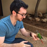 Guy Zissman的照片