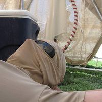 David Vechil's Photo