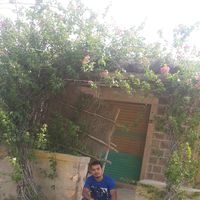 narendra kumar的照片