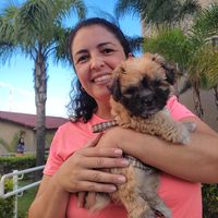 Fotos de Flavia Mendonça