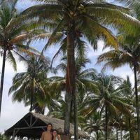 Alan Alvarez's Photo