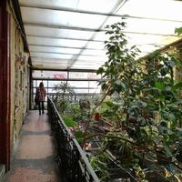 Paula Pemán的照片