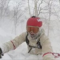 Rubinho De Los Bosques的照片