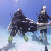 Pierrot de Pestel的照片