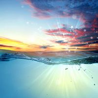 Альберто Шахпазов's Photo