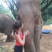 Andreia Cardeira的照片