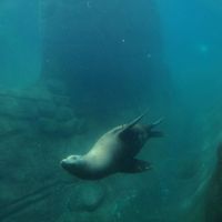 Fotos de Dustin VanDerLinden