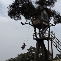 Julieta Angeletti的照片