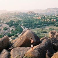 Adam Wardle的照片