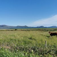 Margaret O Shea's Photo