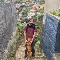 Zsolt Huszár's Photo