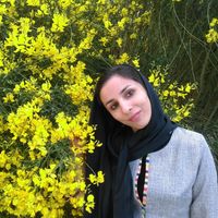 mahbubeh mohabbaty的照片