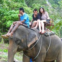 Anela Hukanovic Mehmedagic's Photo