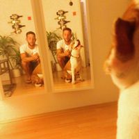 Jakab Péter Pauker's Photo