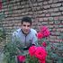 Mehdi Fazli's Photo