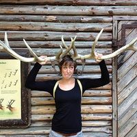 Vronski Arni的照片