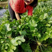 Kai Hui Wong的照片