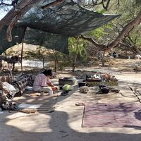 Sewda Kalkouei's Photo