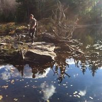 Matt Jackson's Photo