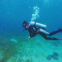 Kristalin Carbonel的照片