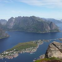 Anton Loubman's Photo