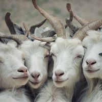 Jorge Rsplmn's Photo