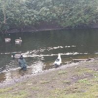 Waleed Saleh's Photo