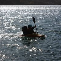 Le foto di Marty O'sullivan