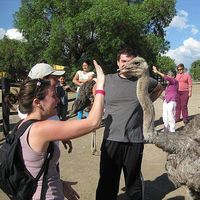 Samantha Blaisdell's Photo