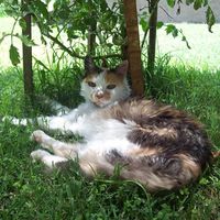 Gonzalo Aymar的照片