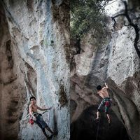 Lam Le Thanh的照片