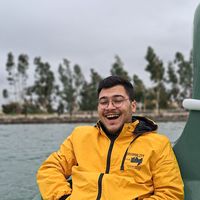 Ali Behrouz的照片