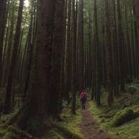 Nancy Hoffman的照片