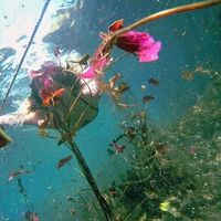 Romina Fernandez's Photo