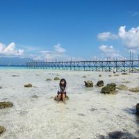 Rina Herviana的照片