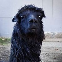 Photos de Leticia Sepúlveda Salazar