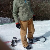 Damien Mallen的照片