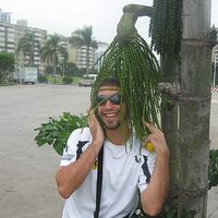 Nicolas Saunie的照片